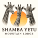 Shamba Yetu Mountain Lodge