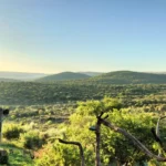 About Shamba Yetu Mountain Lodge - Our Story & Heritage